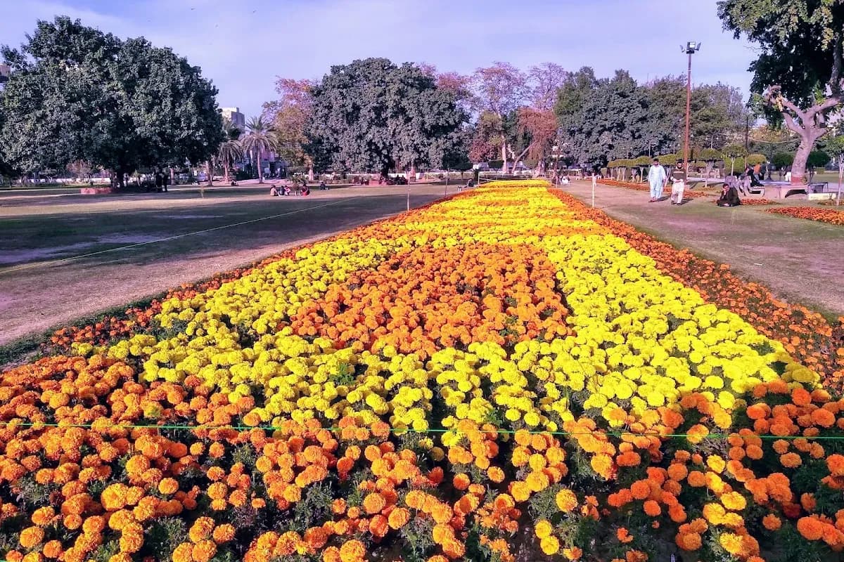 Faisalabad Heritage and Textile Day Tour image 2