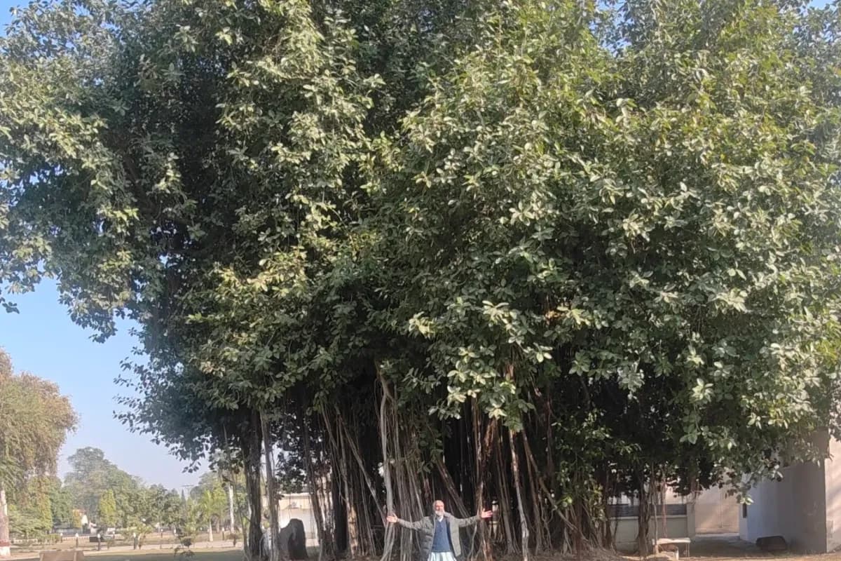 Sargodha Citrus & Heritage 2-Day Discovery image 2