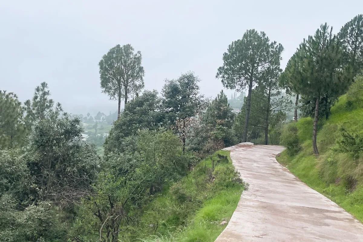 Murree Hills & Patriata Cable Car 2-Day Getaway image 3