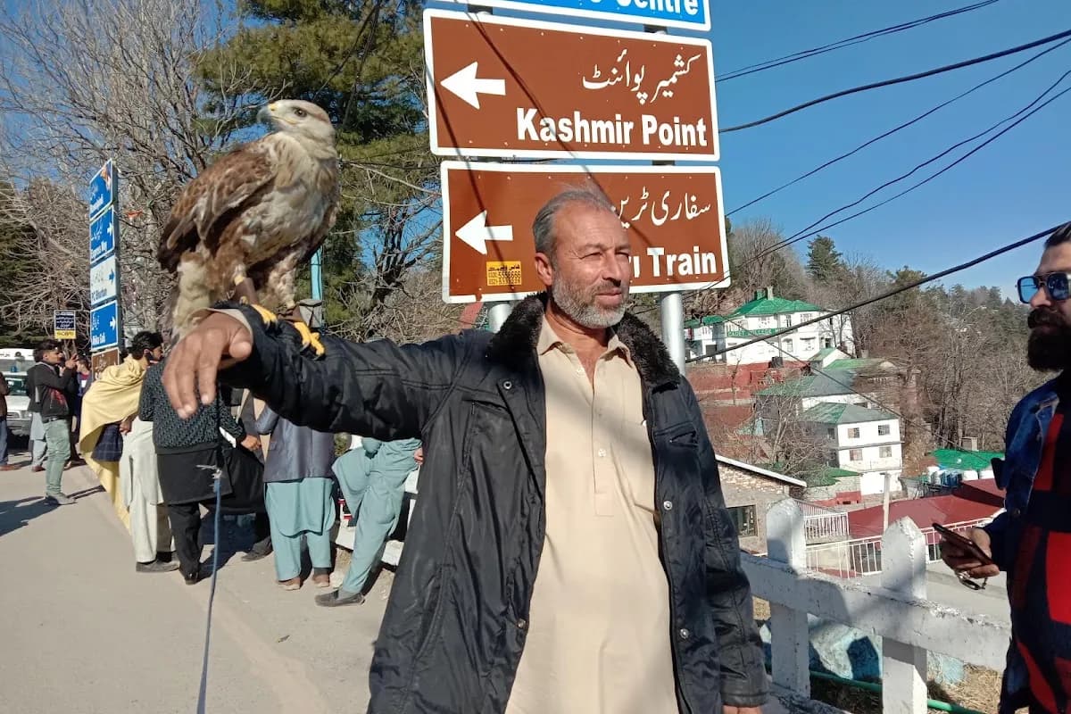 Murree Hills & Patriata Scenic Escape image 1