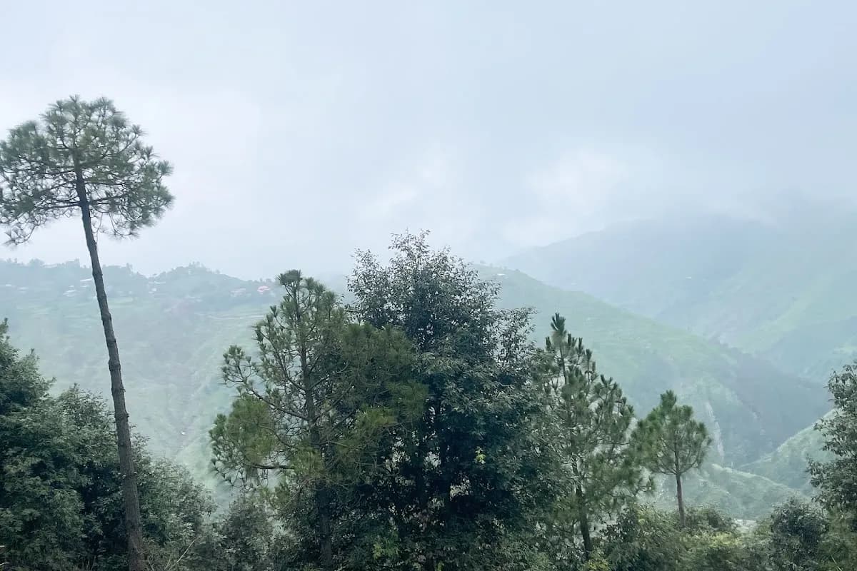 Murree Pine Forest & Patriata Cable Car Adventure image 2
