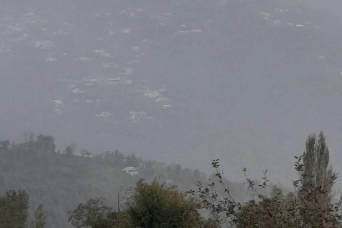 Bhurban Pine Forest & Viewpoint Escape image 3