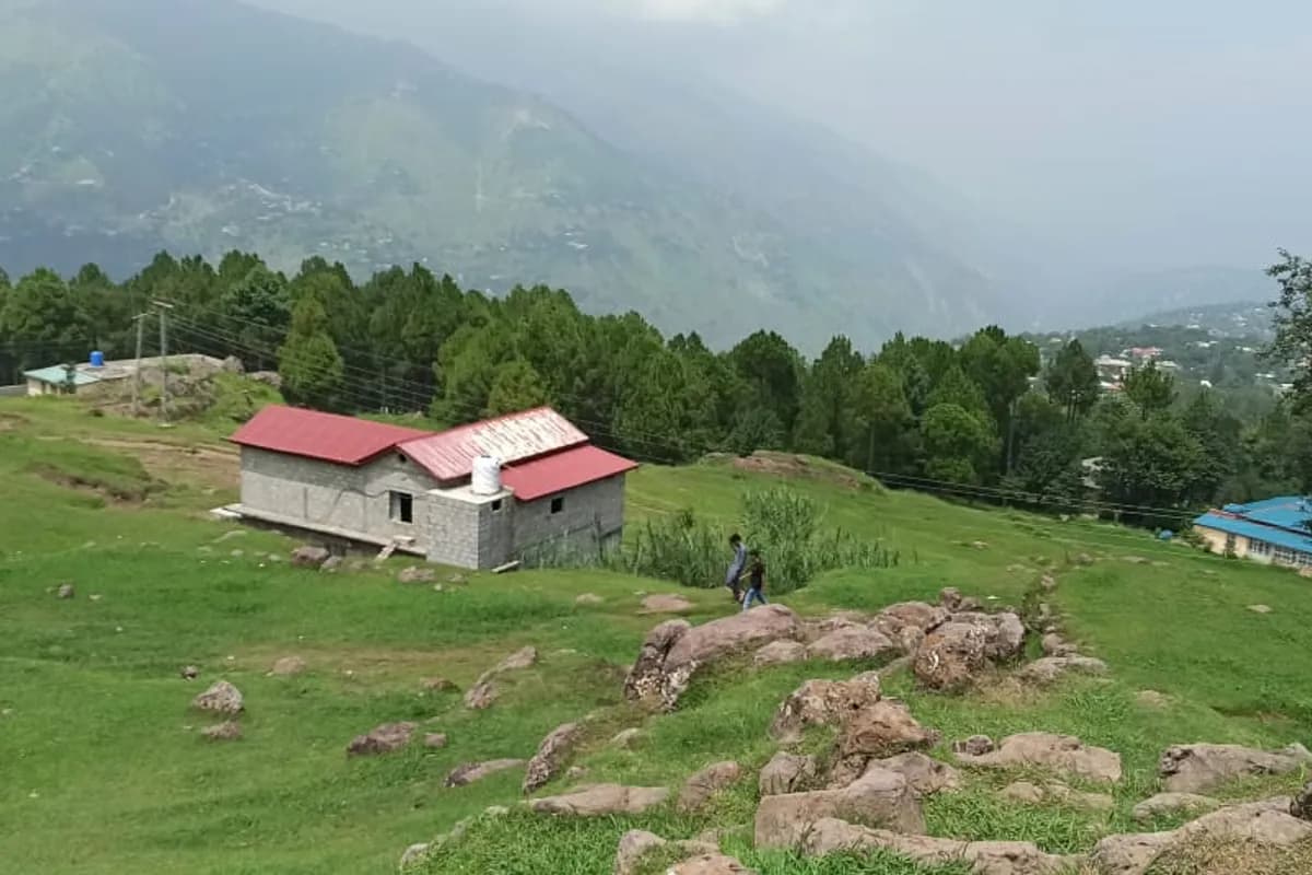 Bhurban Pine Forest & Hill Retreat image 3