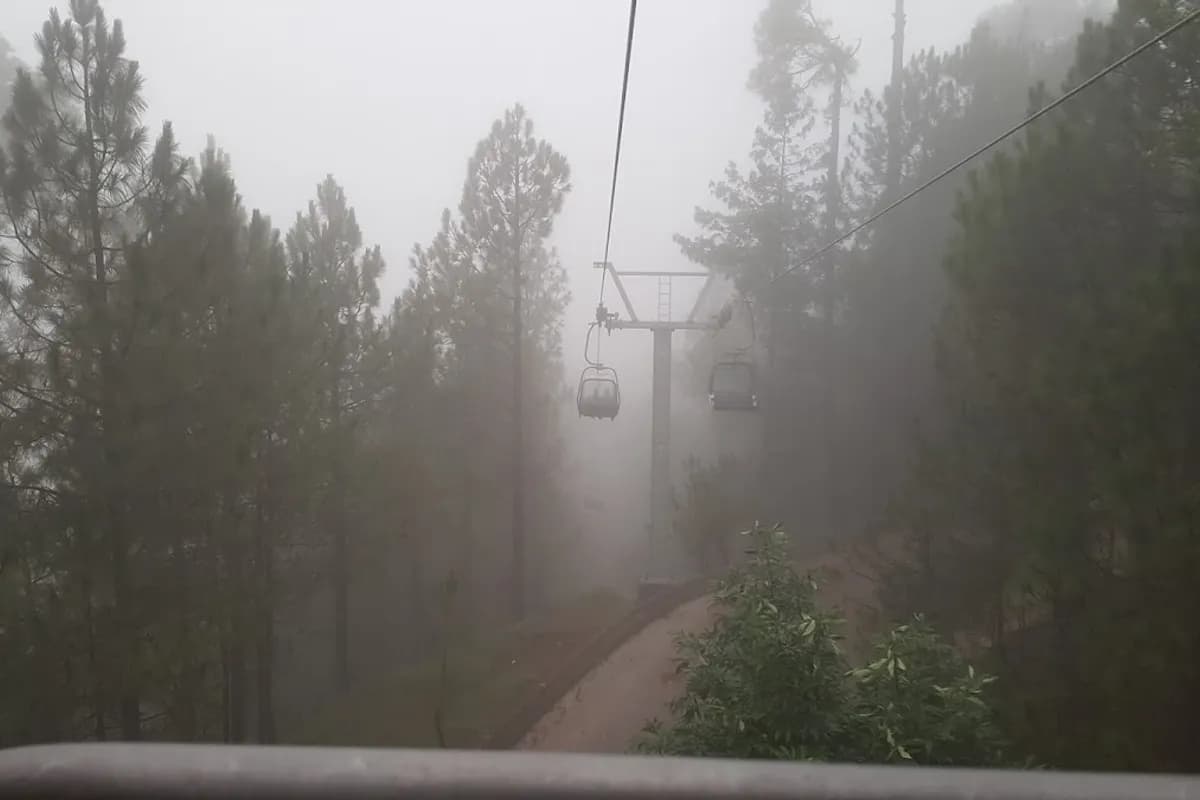 Patriata Chairlift & Pine Forest Adventure image 1