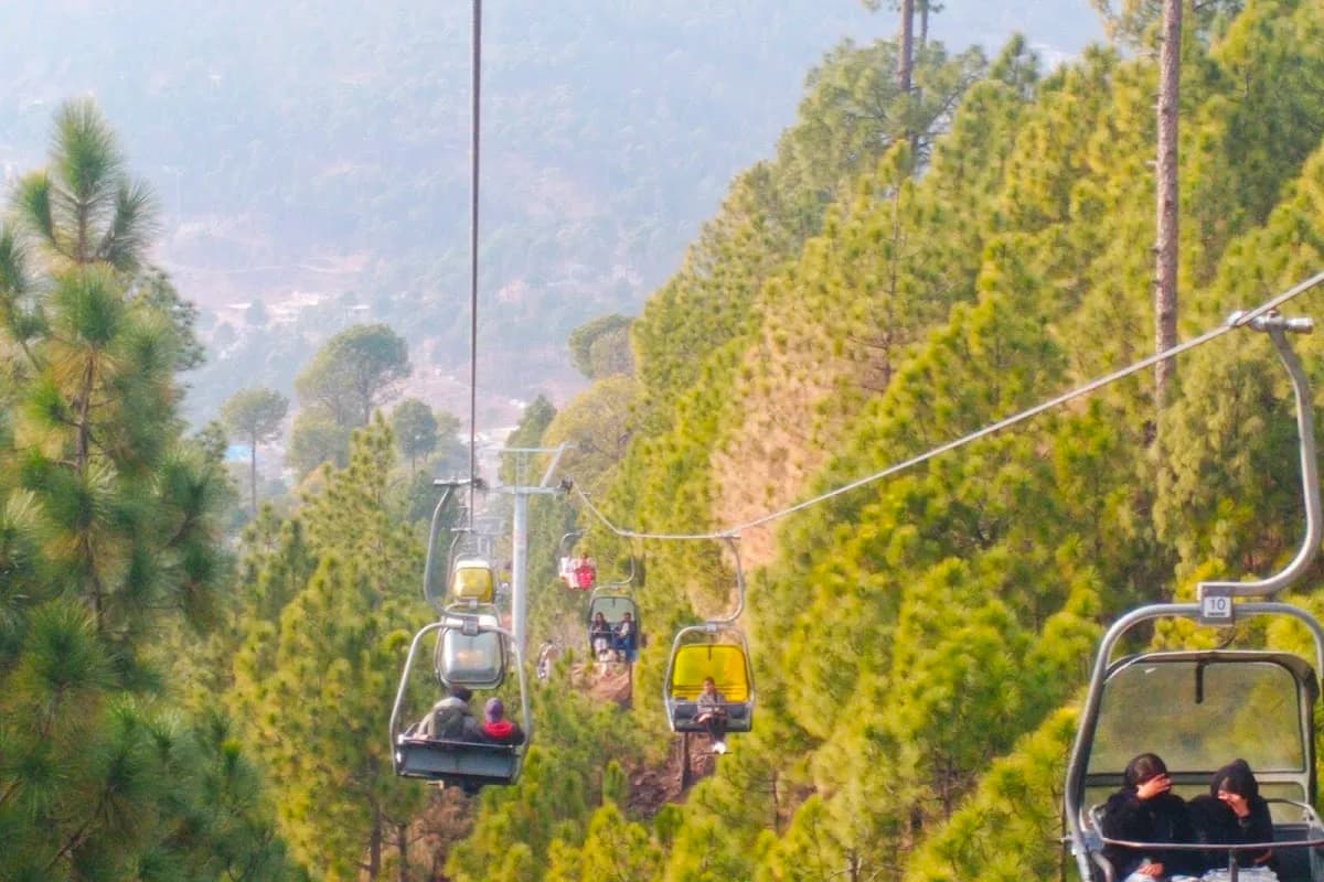 Patriata Chairlift & Pine Forest Adventure image 3