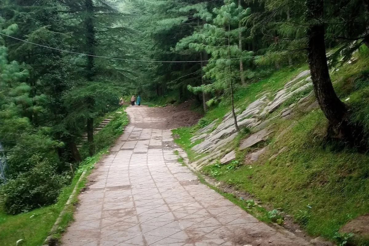 Patriata New Murree Scenic & Cable Car Adventure image 1