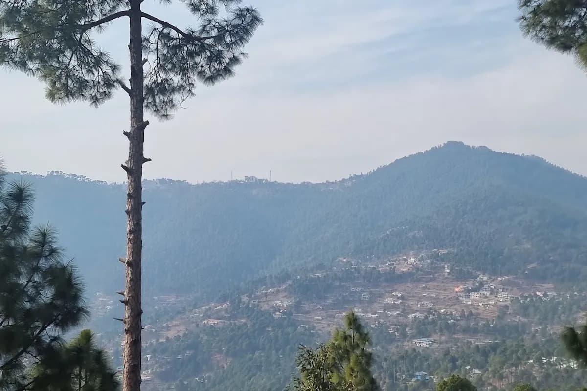 Patriata New Murree Scenic & Cable Car Adventure image 2