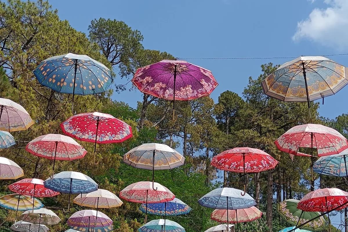 Patriata New Murree Cable Car & Nature Escape image 1