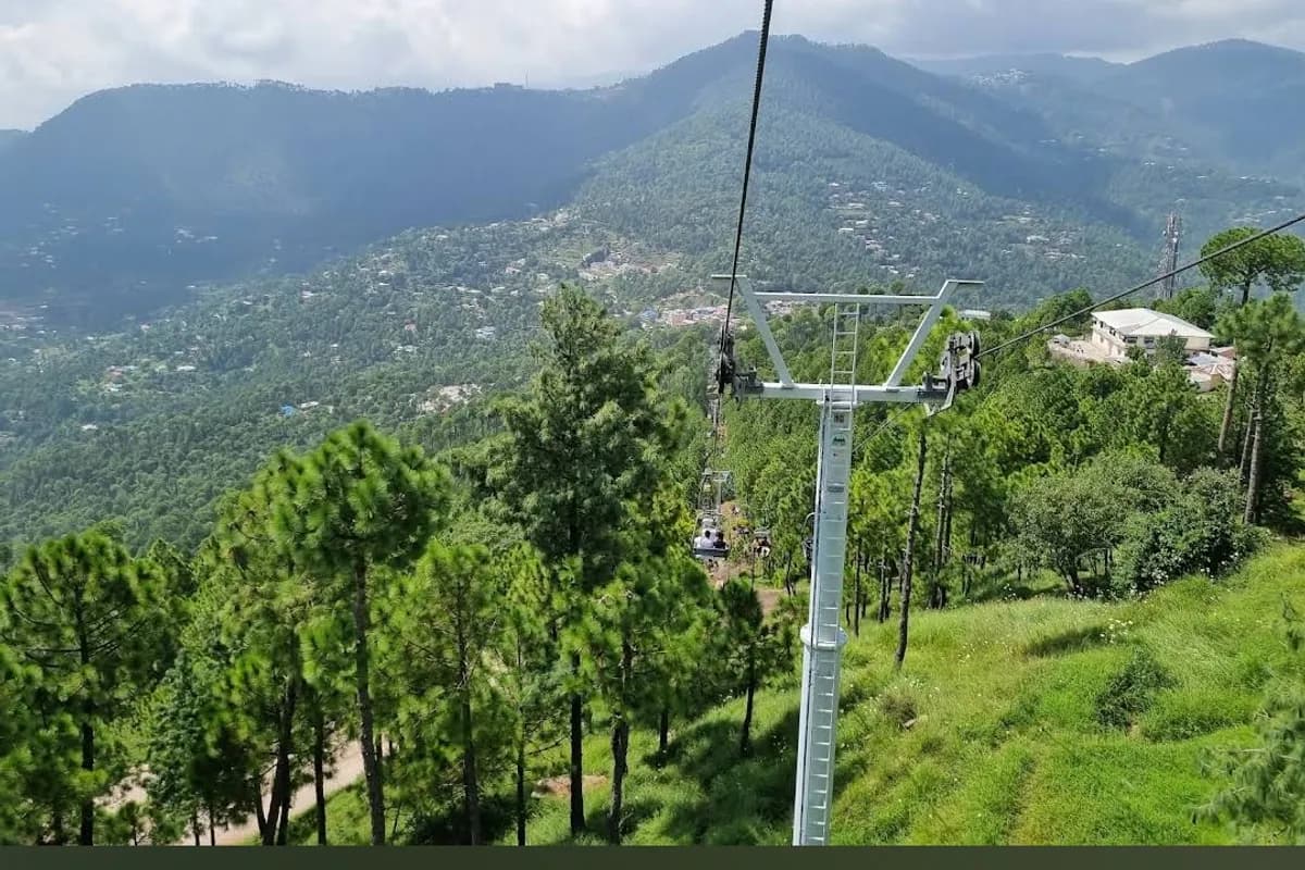 Patriata Pine Forest & Chairlift Adventure image 1