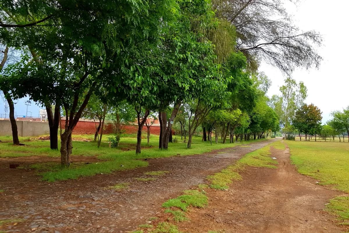 Sargodha Citrus & History Expedition image 1