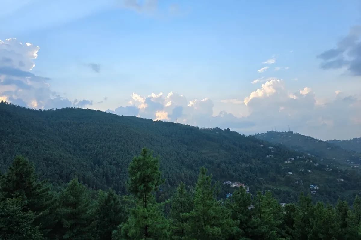 Bhurban Pine Forest & Hill Retreat image 1