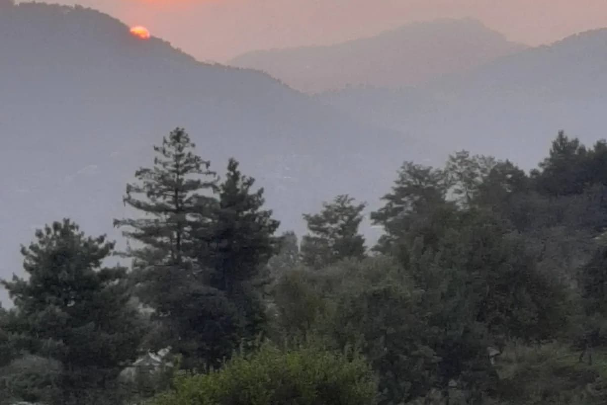 Bhurban Pine Forest & Scenic Retreat image 1