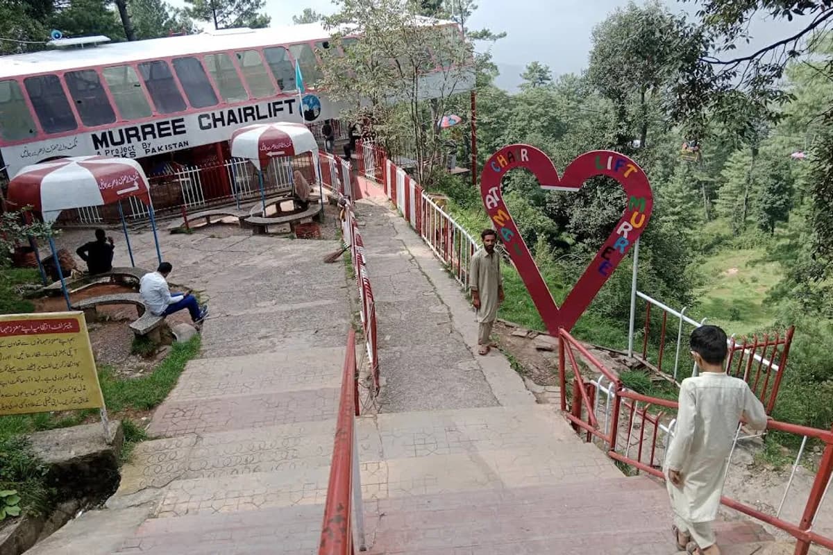 Bhurban Pine Forest & Viewpoint Escape image 3