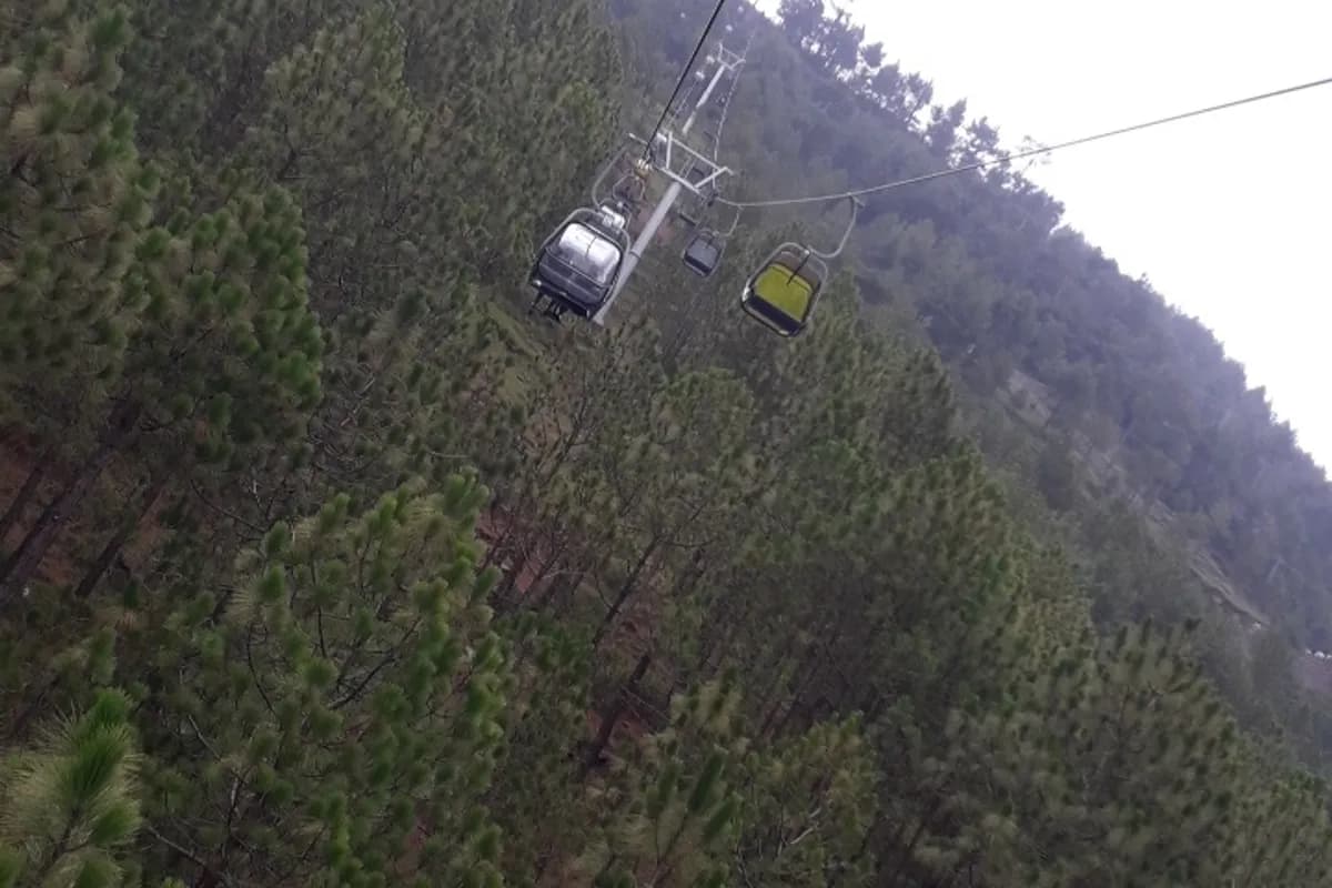 Patriata Chairlift & Pine Forest Adventure image 1