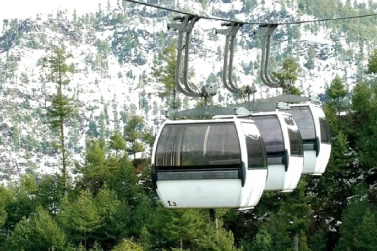 Patriata Chairlift & Pine Forest Adventure image 2