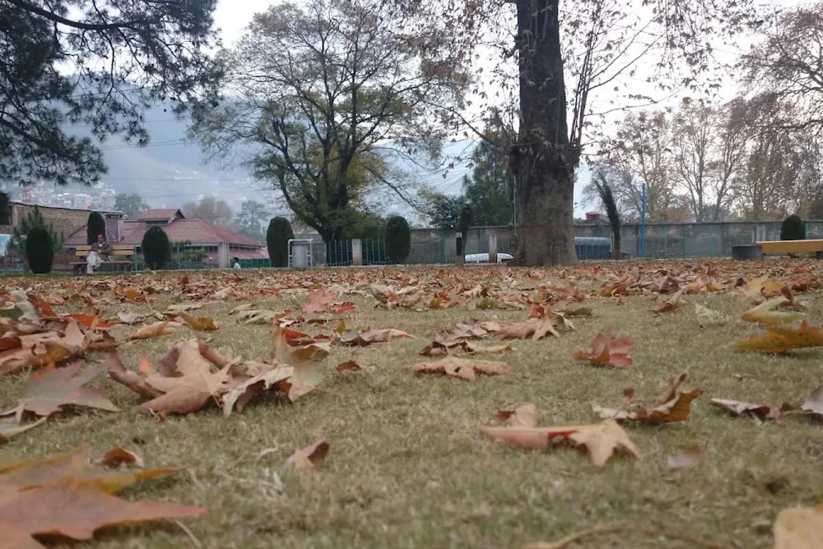 Abbottabad & Thandiani Scenic Escape image 2