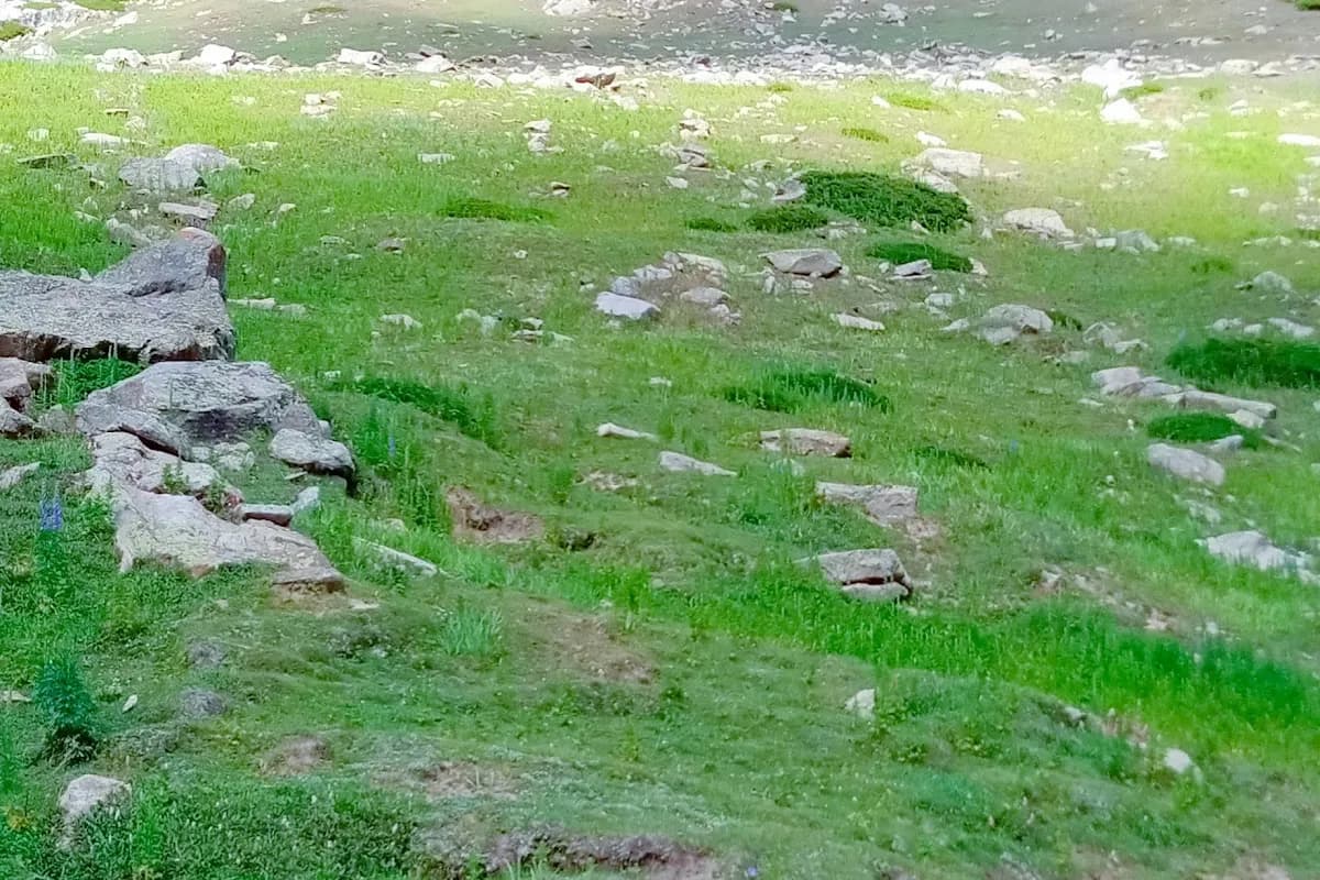 Naran and Saif-ul-Malook 3-Day Alpine Escape image 3