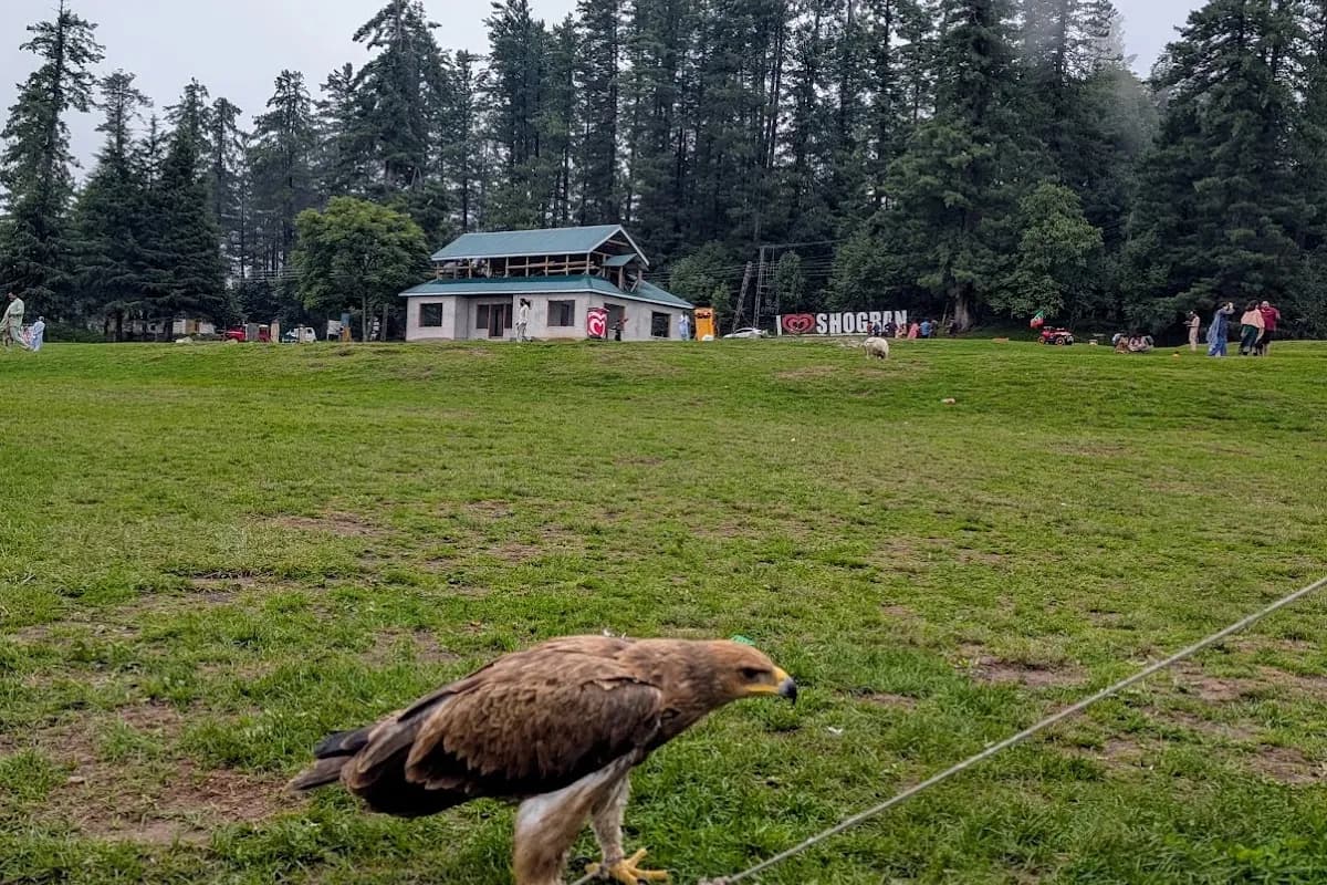 Kaghan Valley 3-Day Alpine Adventure image 2