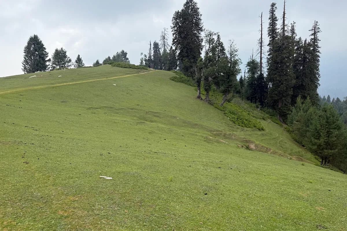 Kaghan Valley & Lake Saif-ul-Malook Alpine Escape