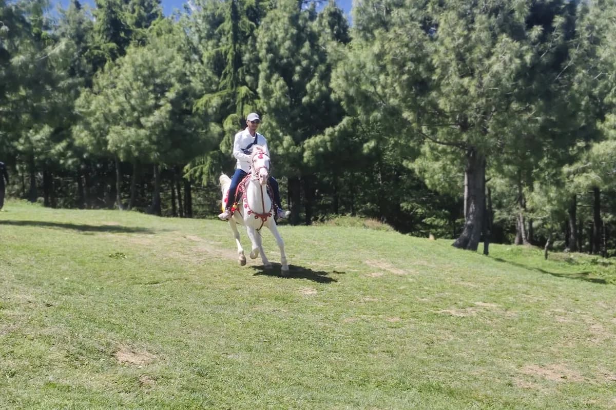 Kaghan Valley Alpine Adventure image 2