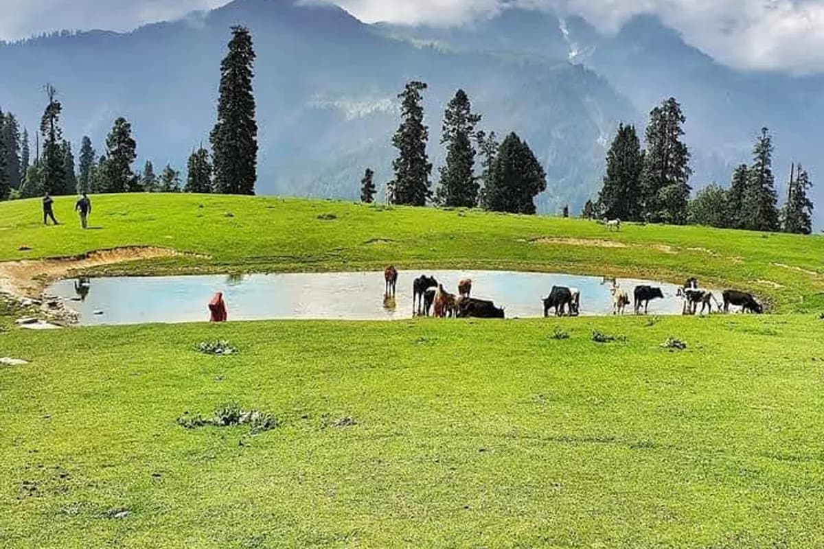 Kaghan Valley 4-Day Alpine Adventure image 3