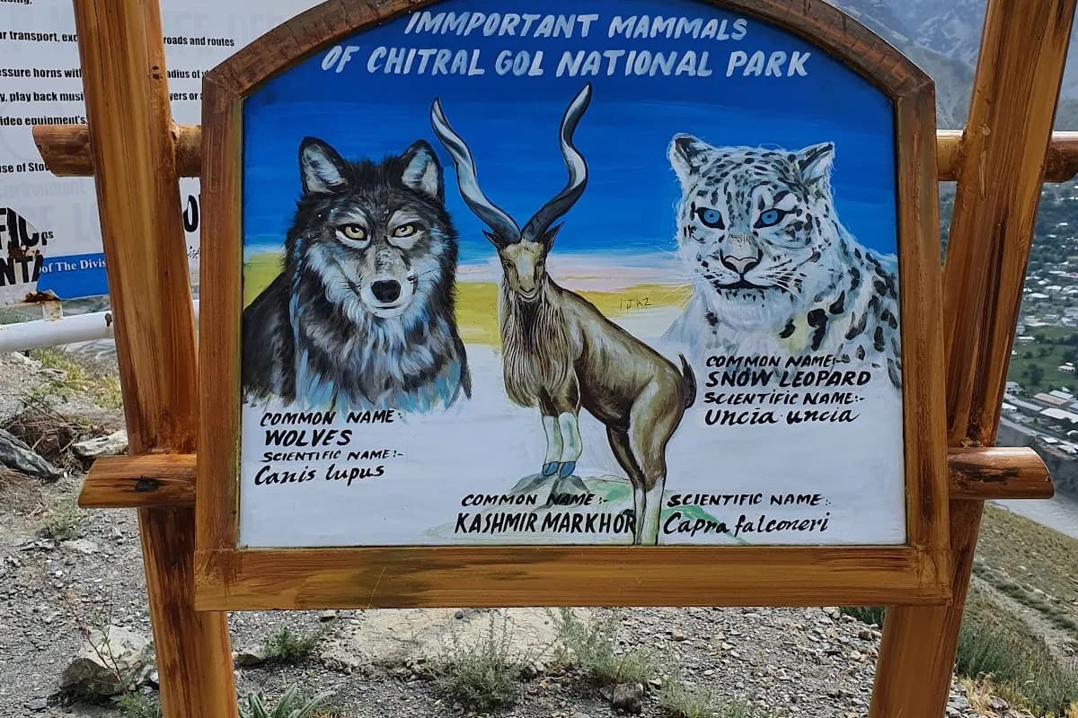 Chitral Valley & Kalash Culture 4-Day Expedition