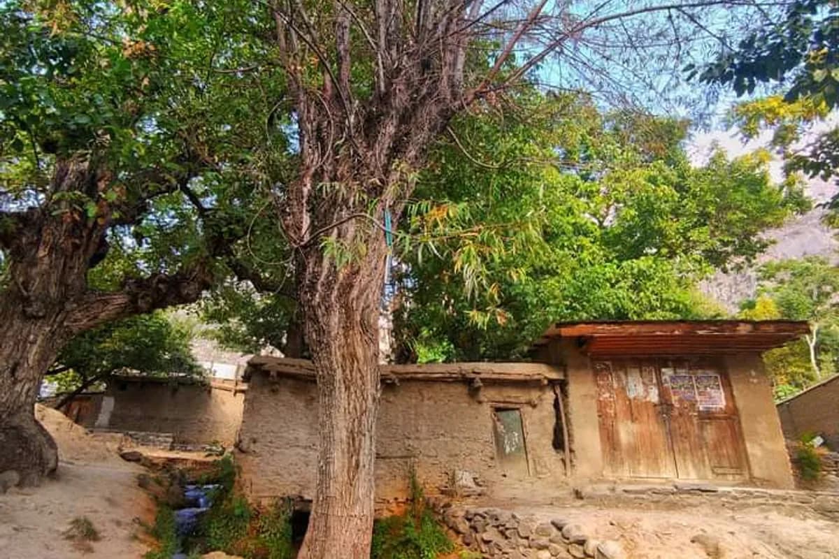 Chitral Valley & Kalash Culture 4-Day Adventure image 2