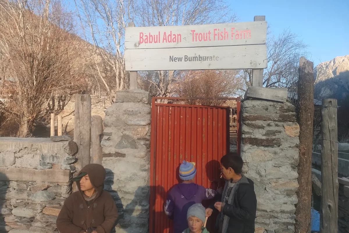 Chitral Valley & Kalash Culture 4-Day Expedition image 2