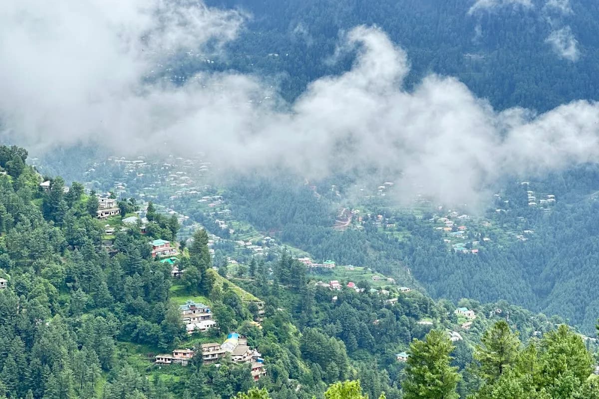 Nathia-Gali Pine Forest & Hiking Escape image 3