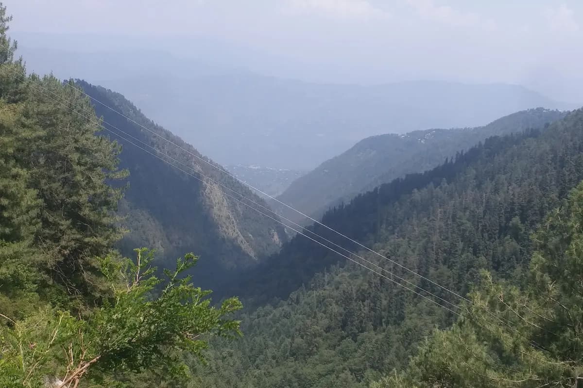 Nathia Gali Pine Forest & Dunga Gali Hiking Retreat image 2