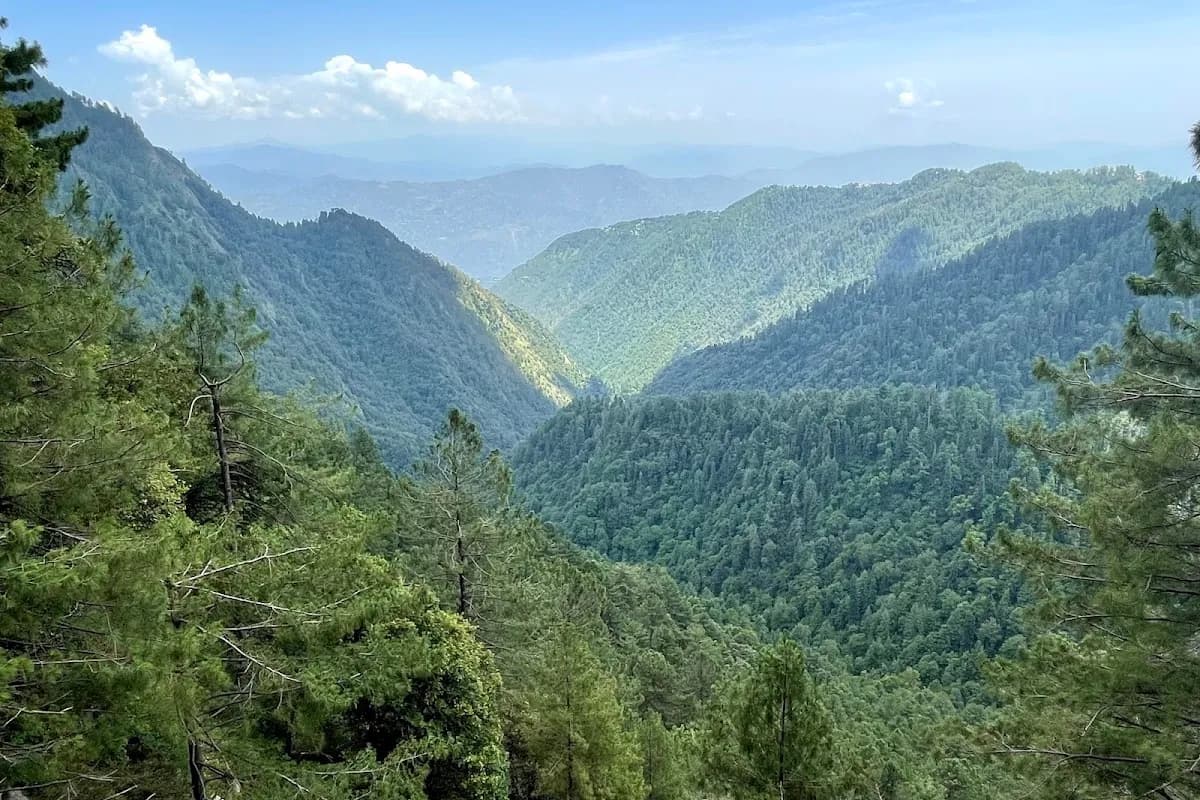 Nathia-Gali Pine Forest & Hiking Escape image 1