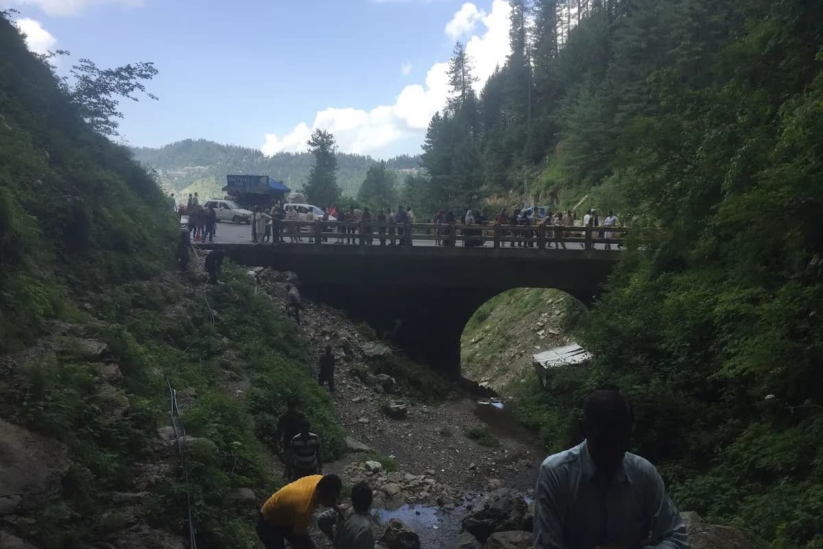 Nathia-Gali Pine Forest & Hiking Escape image 2