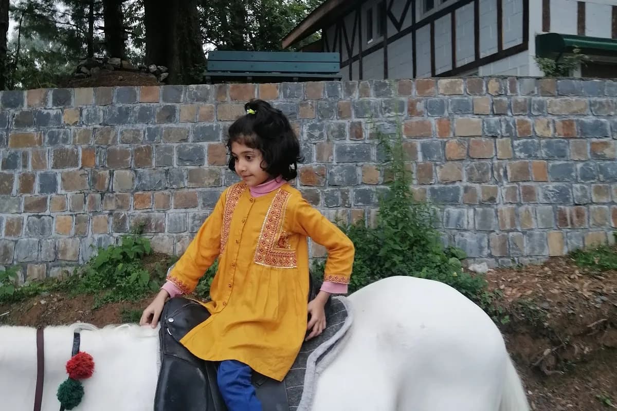 Nathia Gali Pine Forest & Dunga Gali Hiking Escape image 1