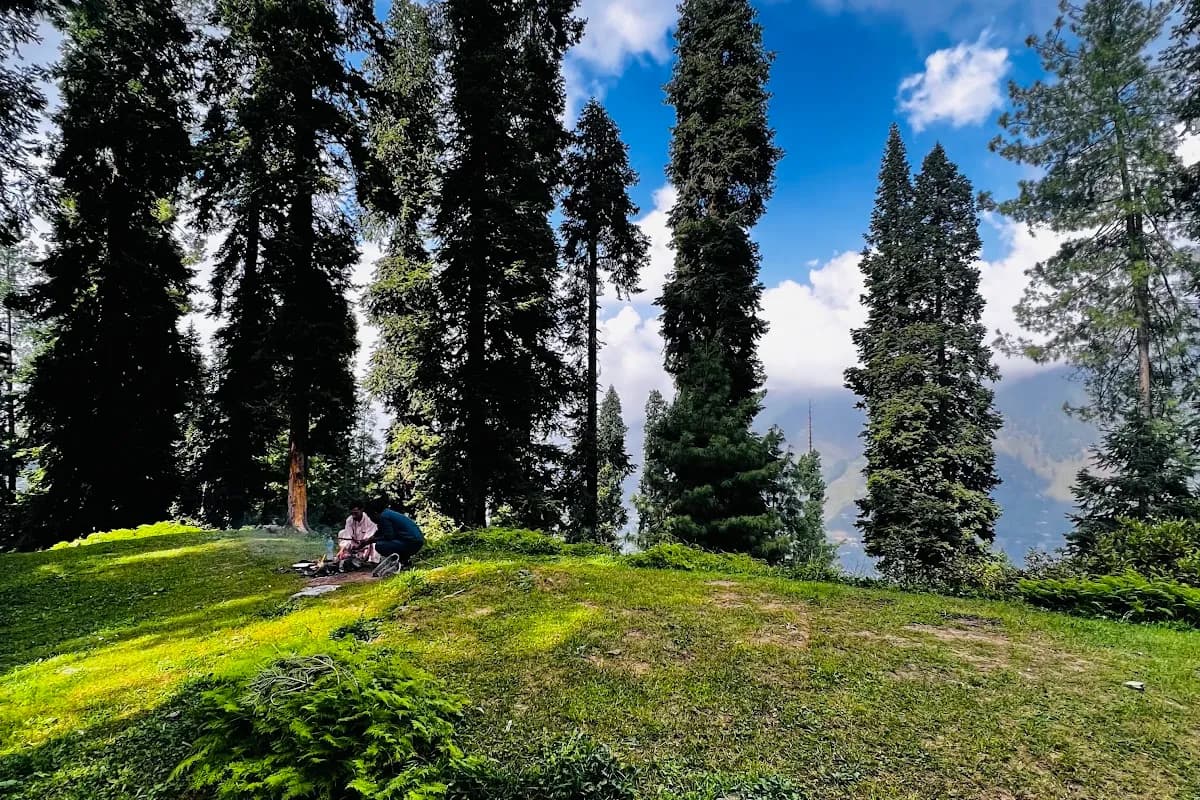 Nathia Gali Pine Forest & Dunga Gali Hiking Escape image 2