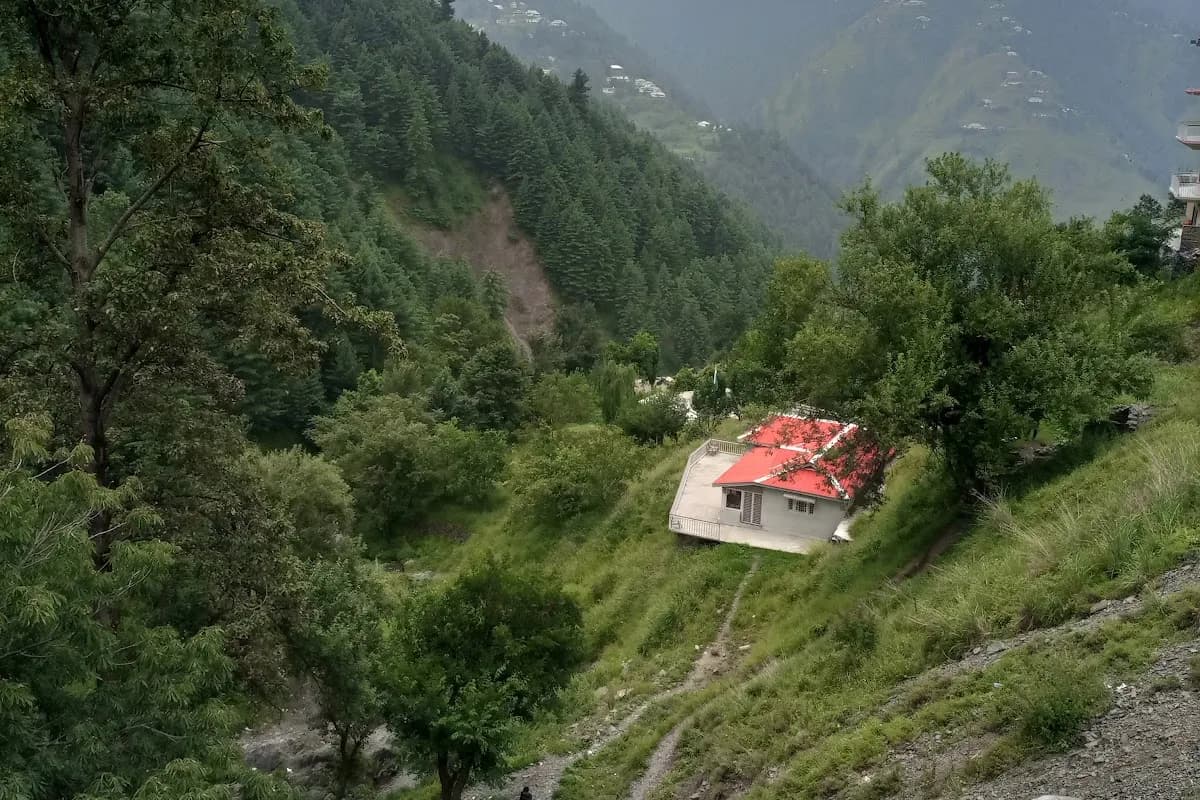 Nathia Gali Pine Forest & Peak Adventure image 1