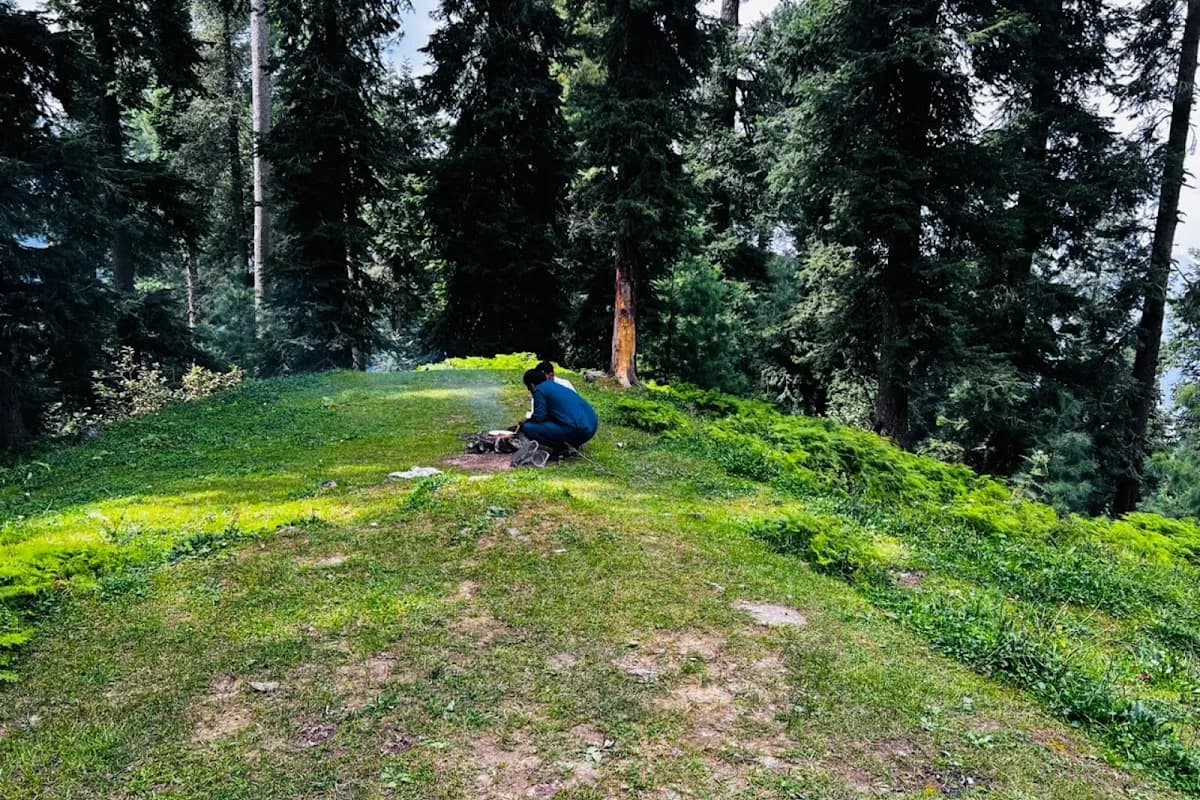 Nathia Gali Pine Forest & Peak Adventure image 3