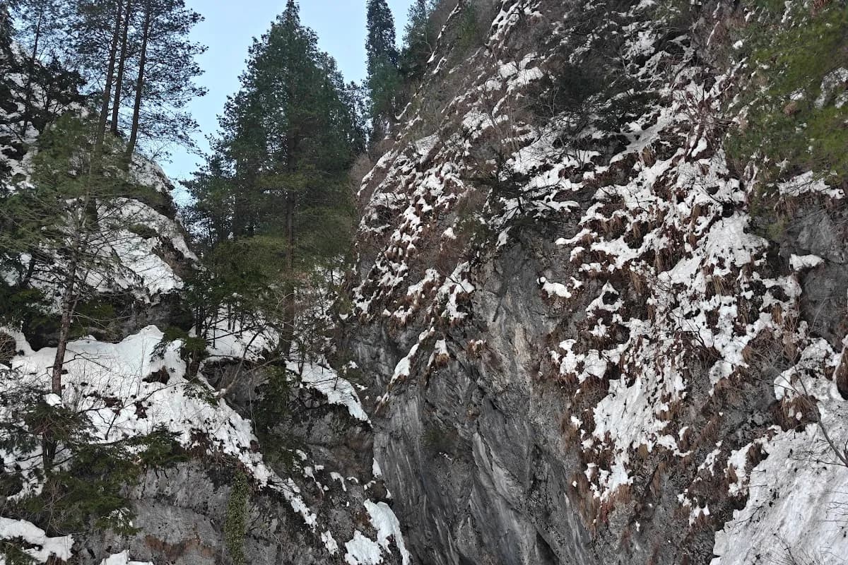 Nathia-Gali Pine Forest & Hiking Escape image 2