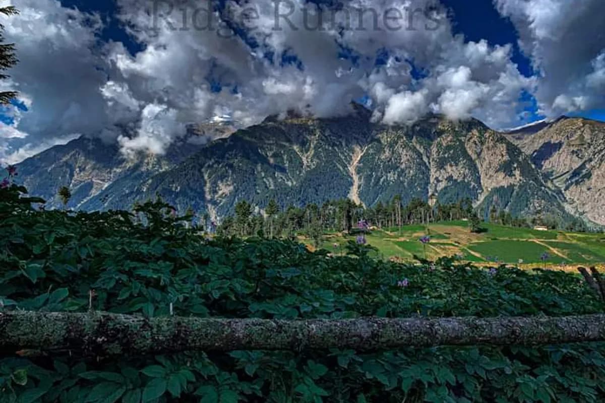 Kalam Valley Alpine Escape image 3
