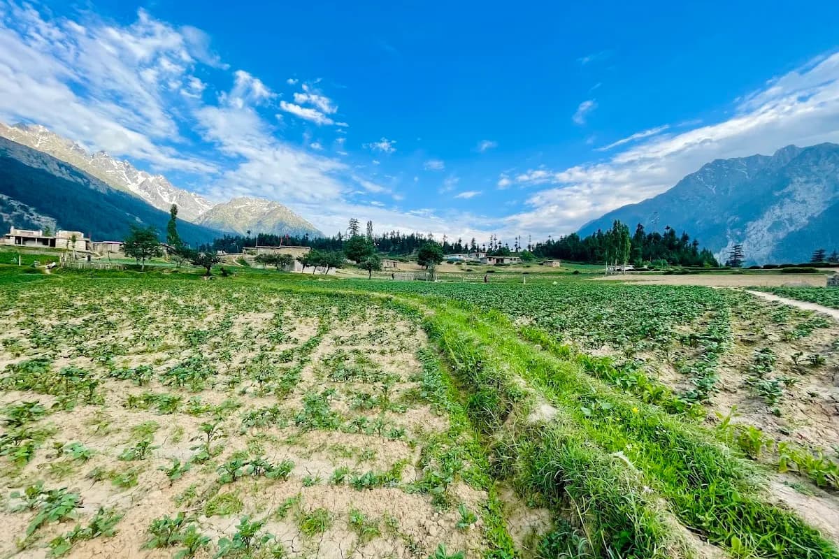 Kalam Valley 3-Day Alpine Escape image 3