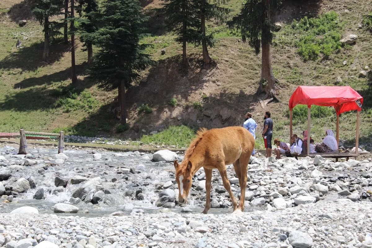 Kalam Valley 3-Day Alpine Escape image 2