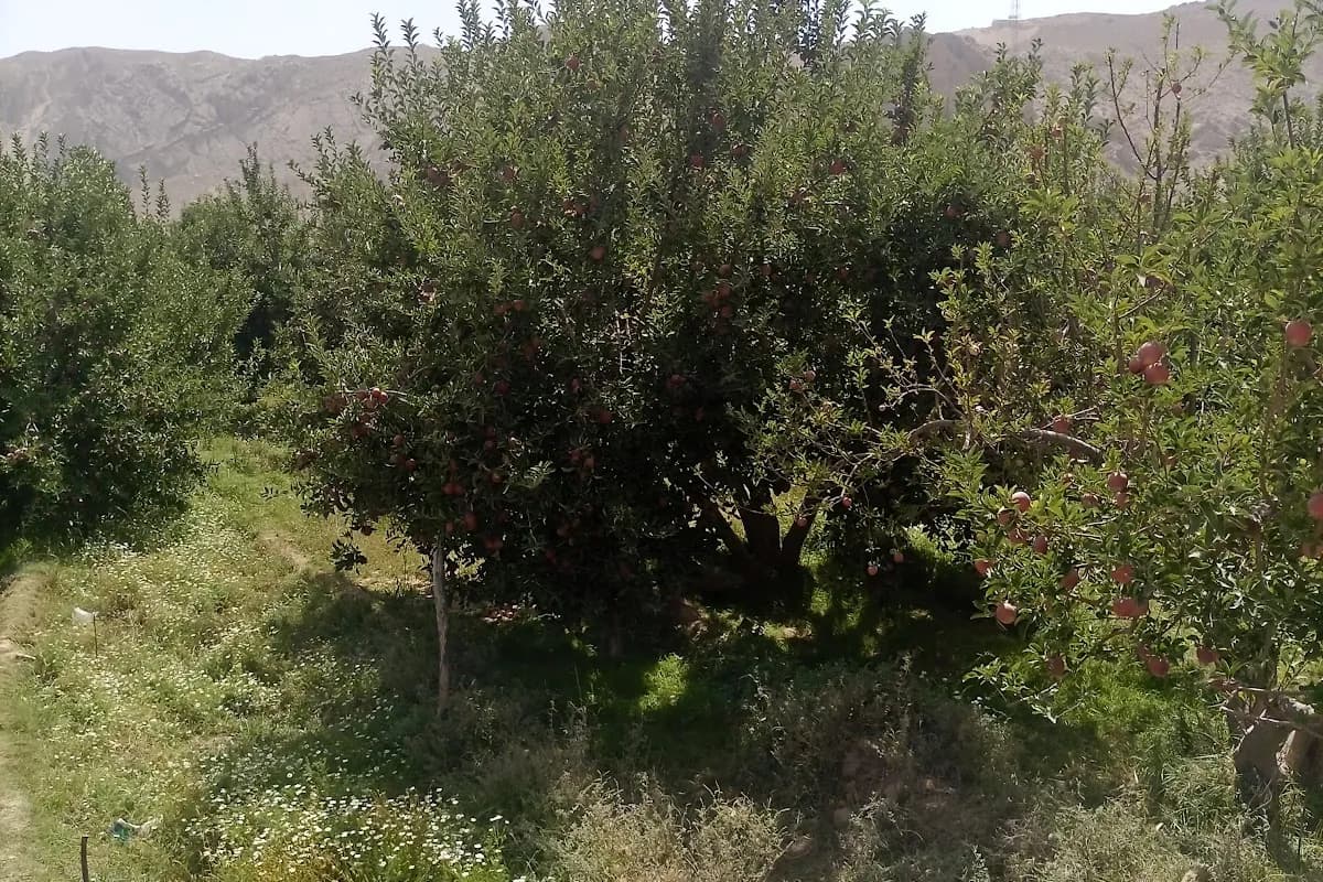 Quetta & Hanna Lake Scenic Discovery image 3