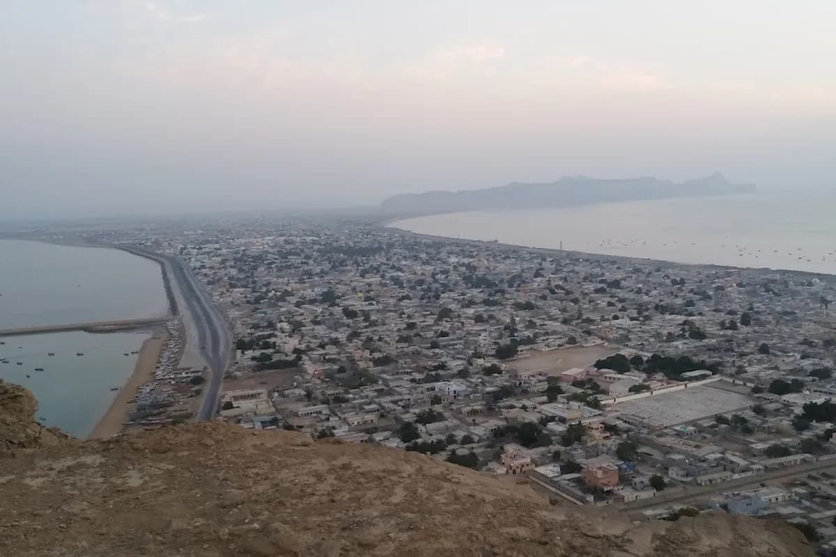 Gwadar Coastal Getaway & Hammerhead Safari image 2