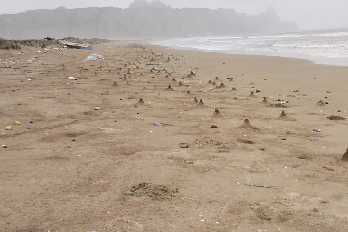 Gwadar Coastal & Desert 3-Day Explorer image 3