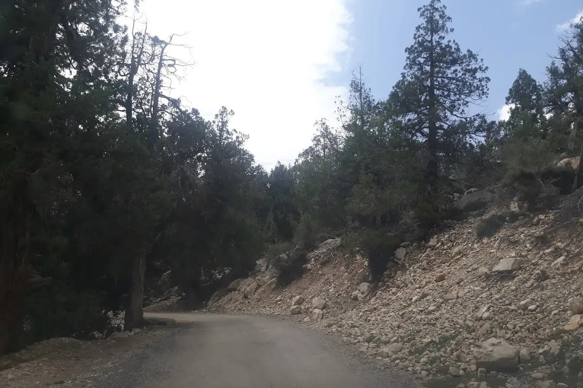 Ziarat Juniper Valley & Quaid Residency Escape image 1