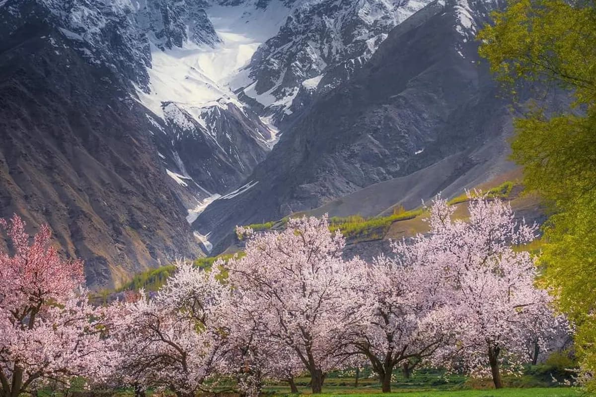Skardu Majestic Peaks & Lakes 4-Day Expedition image 2