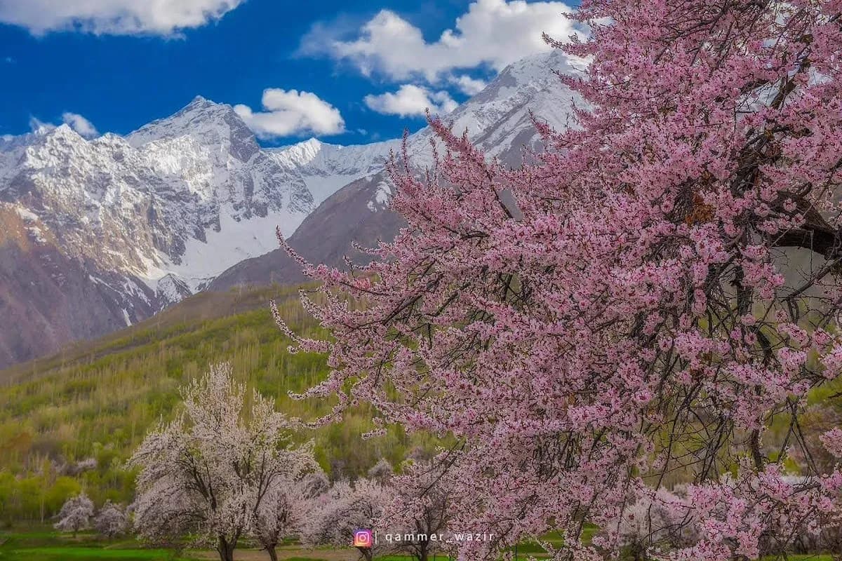 Skardu Paradise: 3-Day Lakes & Valleys Expedition image 3