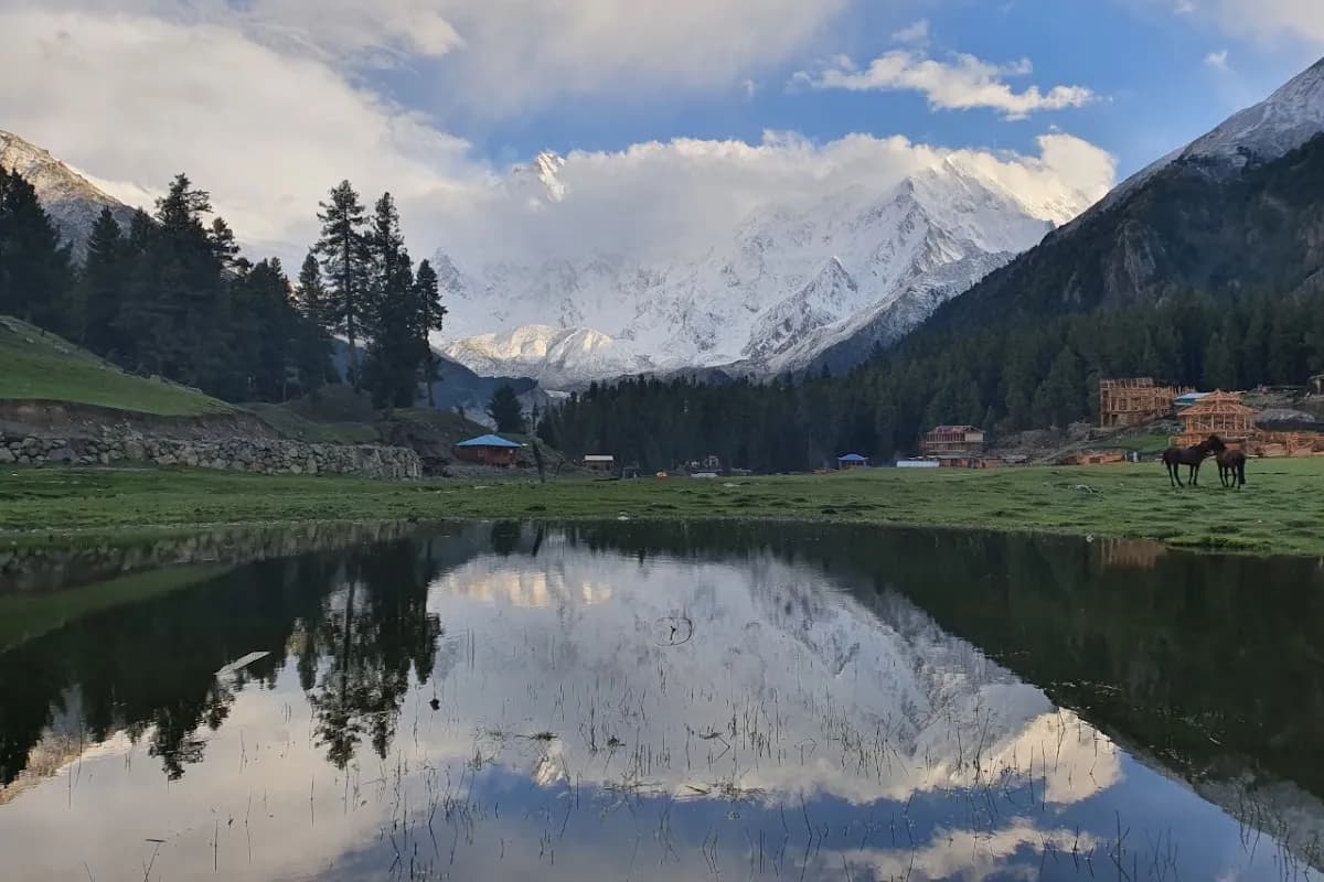 Fairy Meadows & Nanga Parbat Base Camp Trek image 2