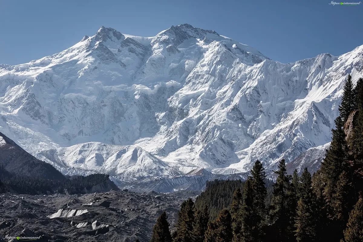 Fairy Meadows & Nanga Parbat Base Camp Trek image 3
