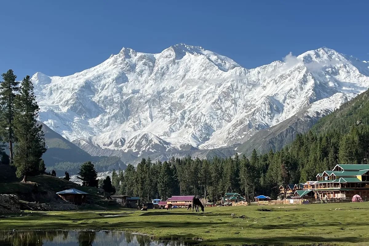 Fairy Meadows & Nanga Parbat Base Camp 3-Day Trek image 1