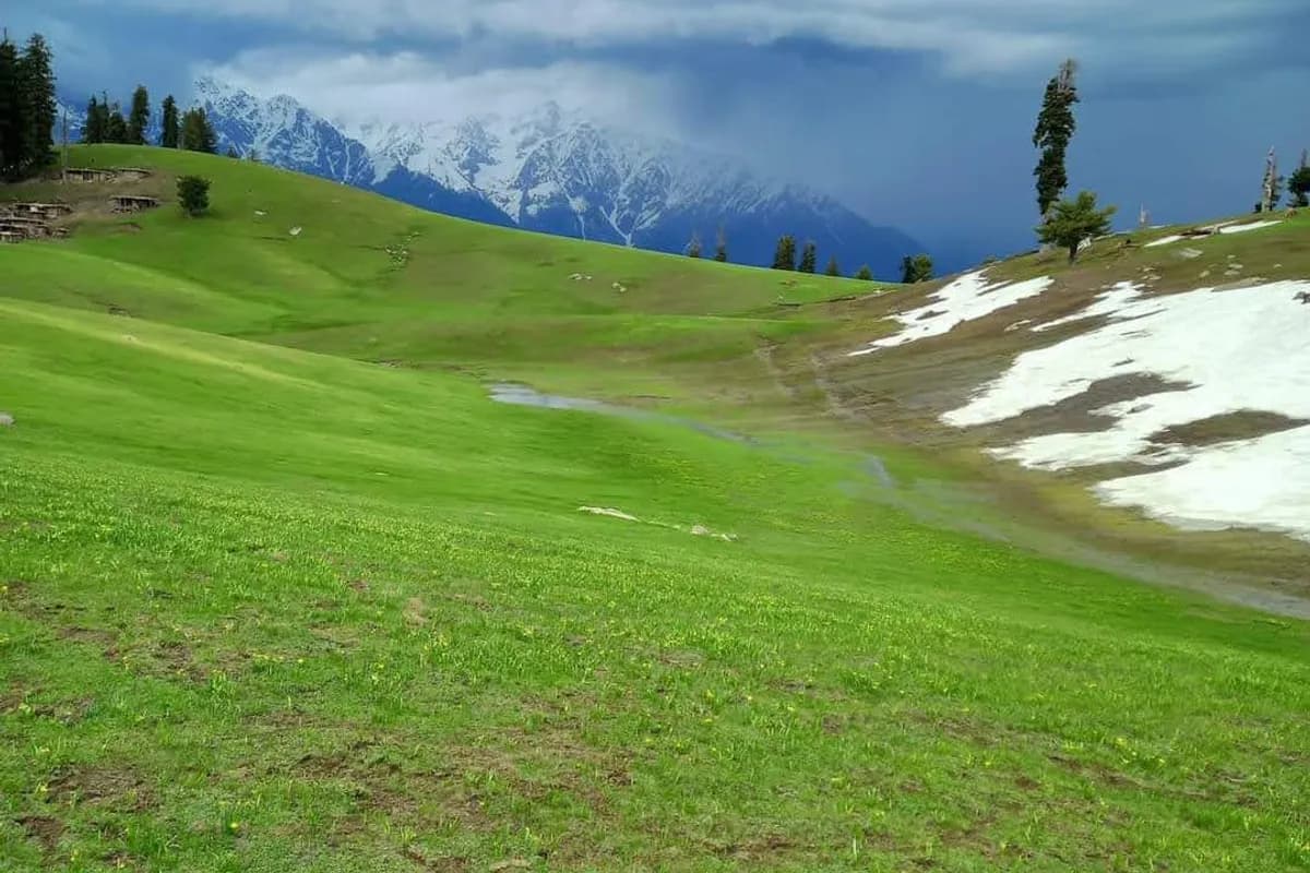 Fairy Meadows & Nanga Parbat Base Camp 4-Day Expedition image 3